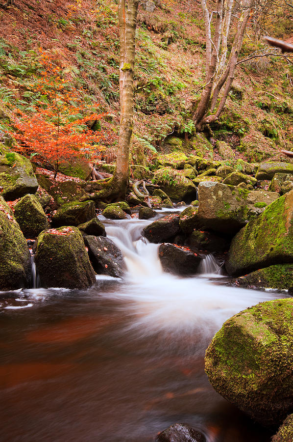 Beautiful Waterfall Flowing Through Autumn Fall Vibrant