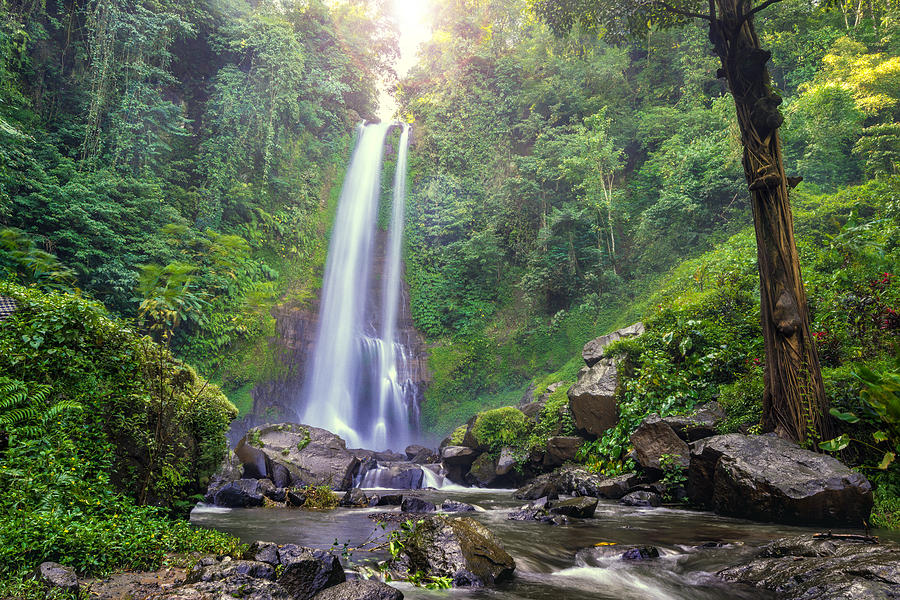 Beautiful waterfall hidden in the tropical jungle of Bali, Indonesia. Photograph by Shaifulzamri