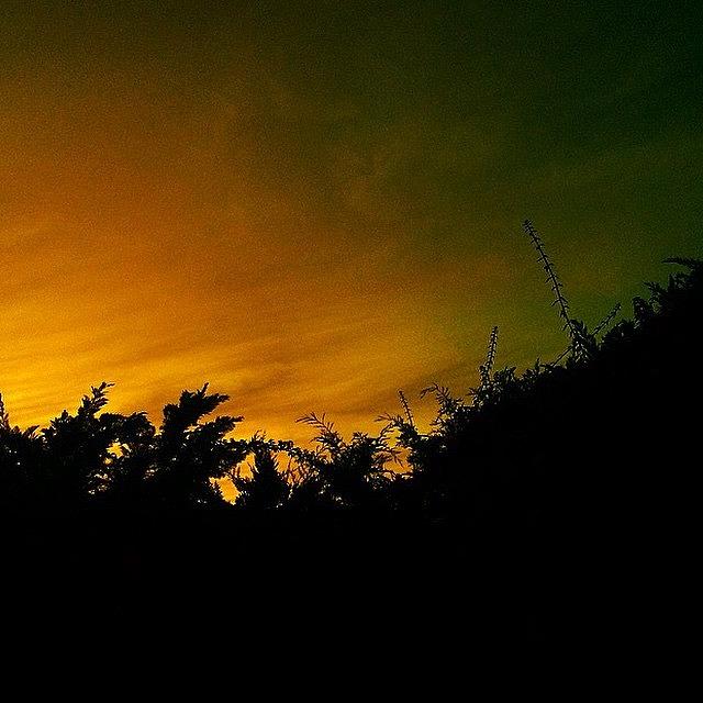 Sunset Photograph - #beautiful #weird #orange #green by Tarek Al Hassan