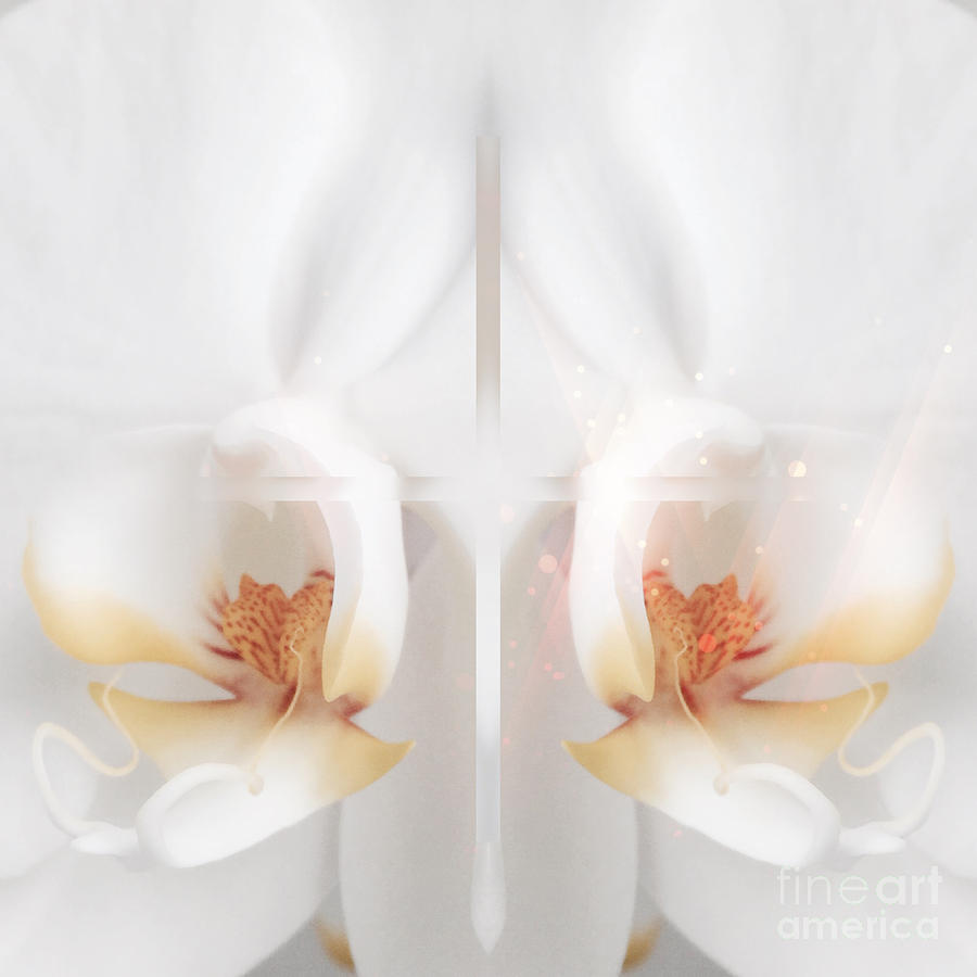 Beautiful White Orchids Digital Art by Beverly Claire Kaiya