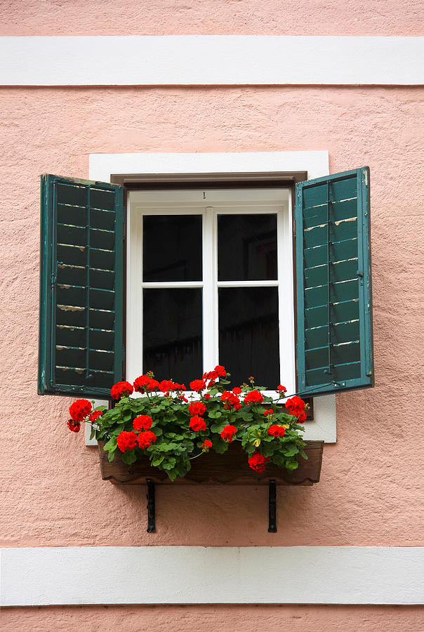 Beautiful window with flower box and shutters Photograph by Sue Leonard