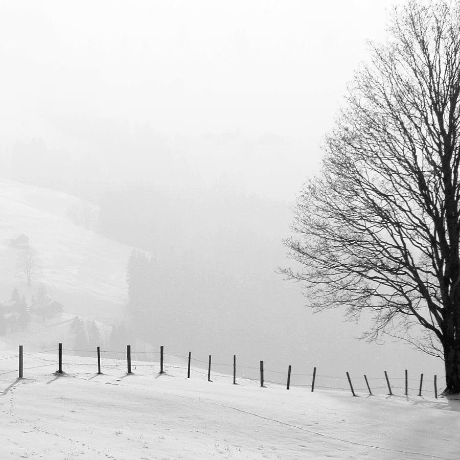 Winter Photograph - Beautiful winter landscape with tree and fence by Matthias Hauser