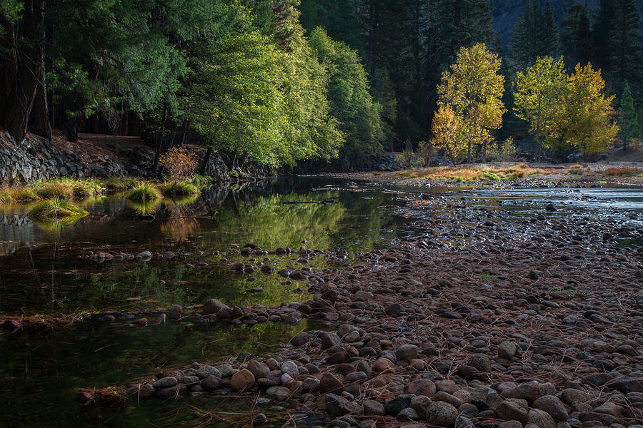Beautiful Yosemite National Park 2 Photograph by Larry Marshall