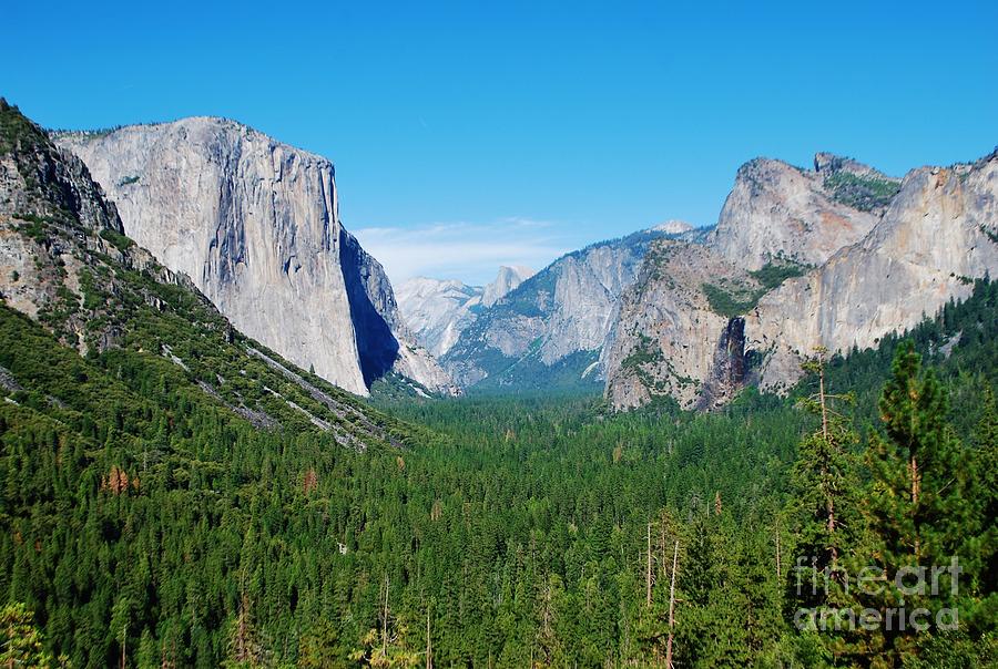 Beautiful Yosemite Valley Photograph by William Wyckoff