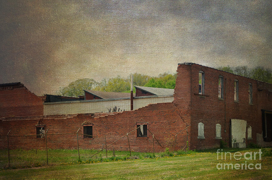 Vintage Photograph - Beauty After the Tornado by Luther Fine Art