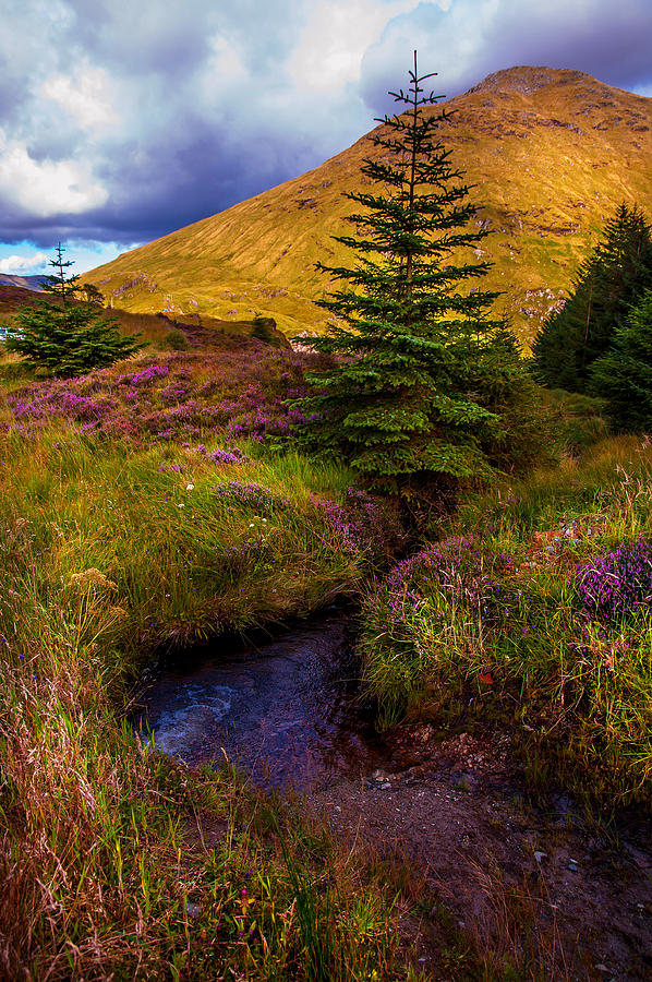 Nature Photograph - Beauty all Around. Rest and Be Thankful. Scotland by Jenny Rainbow