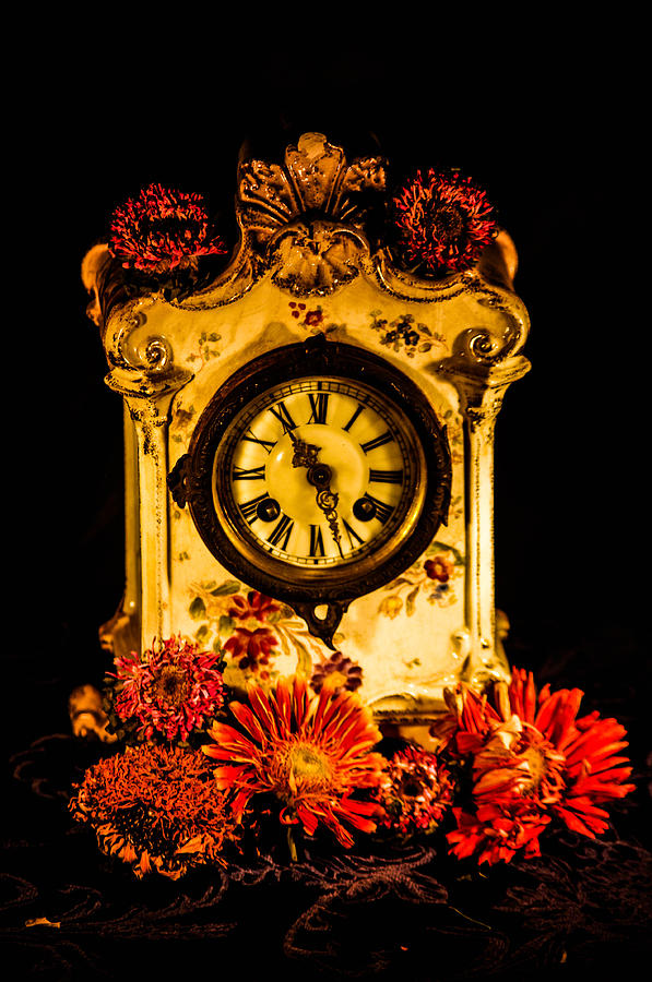 Beauty and time Photograph by Gerald Kloss