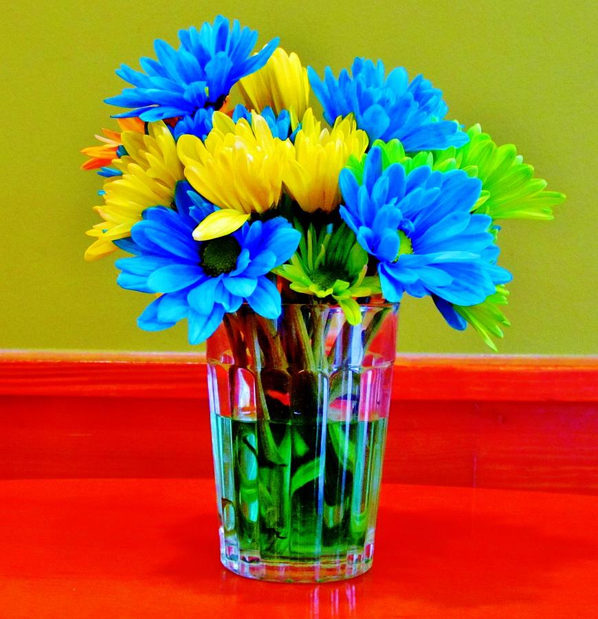 Beauty In A Vase Photograph by Cynthia Guinn