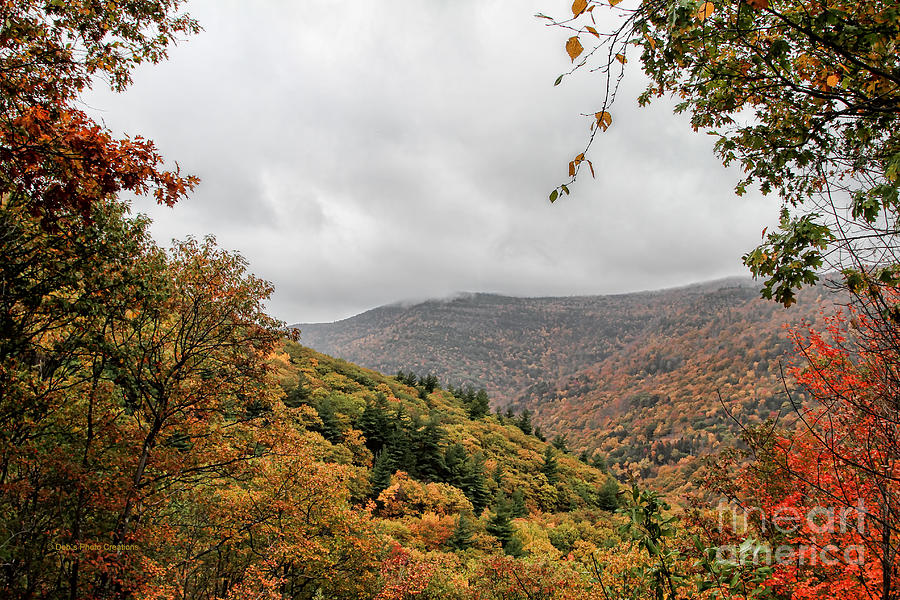 Fall Photograph - Beauty In The Mountains by Deborah Benoit