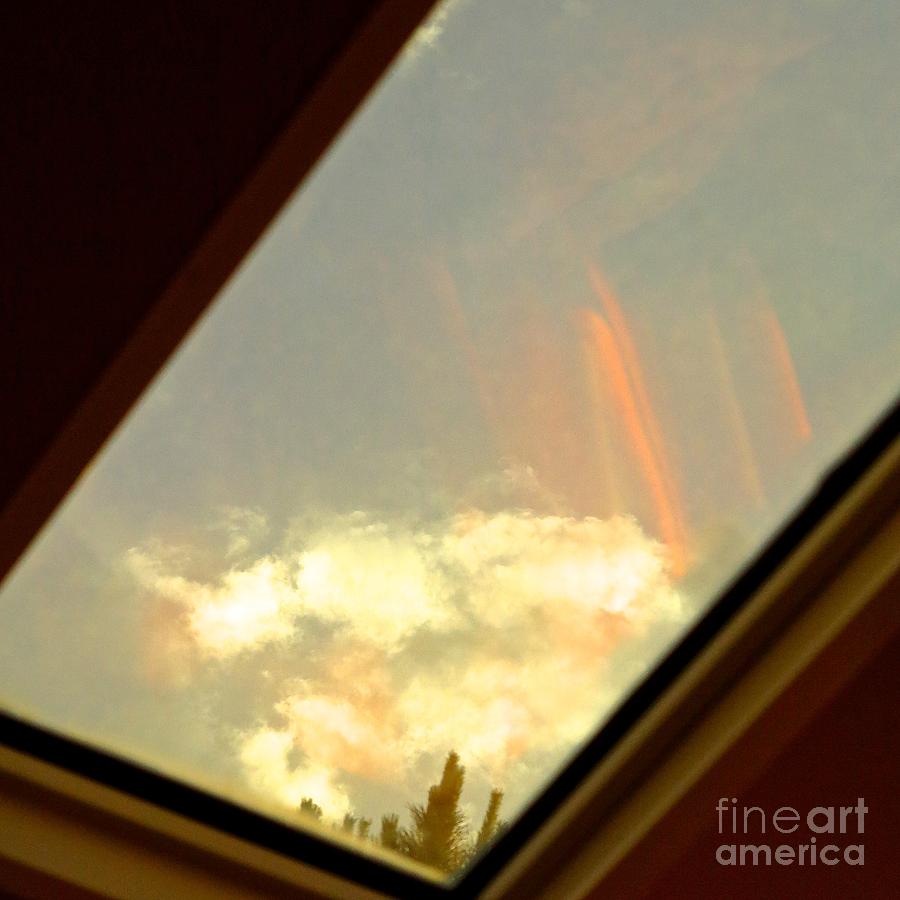 Beauty in the Skylight Photograph by Phyllis Kaltenbach