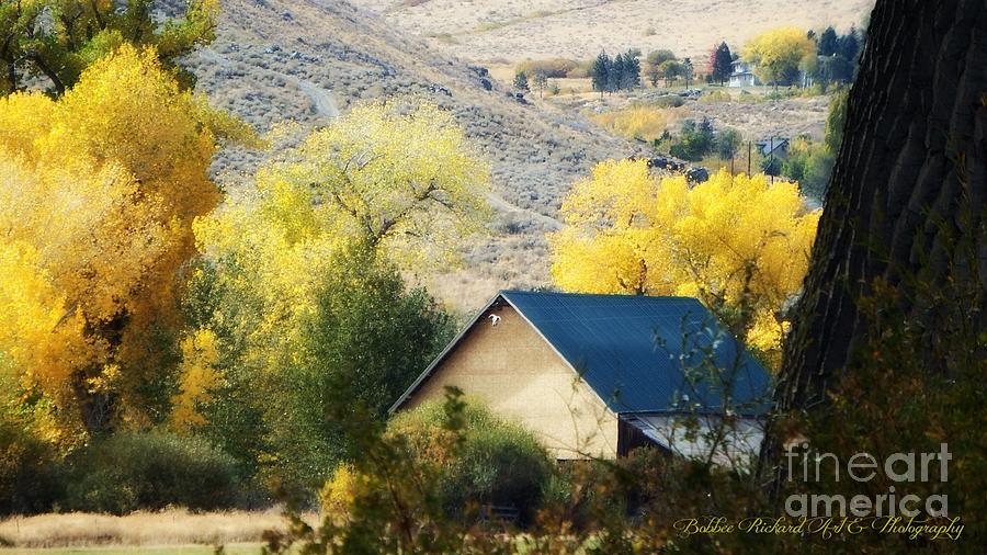 Fall Photograph - Beauty in the Valley by Bobbee Rickard