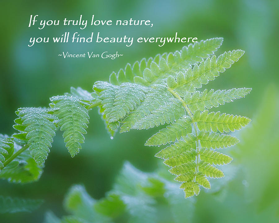 Beauty Is Everywhere Photograph by Bill Wakeley