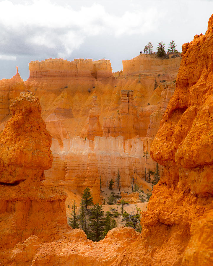 Beauty of Bryce Photograph by Jim Snyder