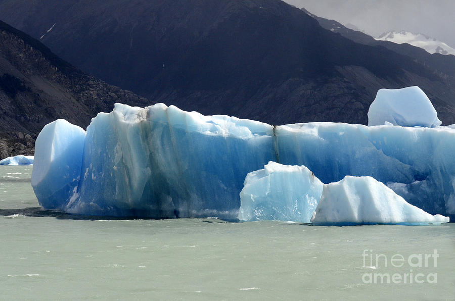 Beauty Of Icebergs Patagonia 6 Photograph by Bob Christopher