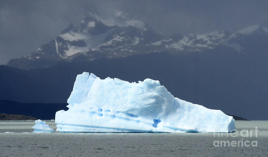 Beauty Of Icebergs Patagonia 7  Photograph by Bob Christopher