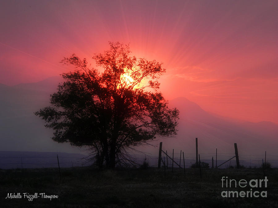 Beauty of Sunset Photograph by Michelle Frizzell-Thompson