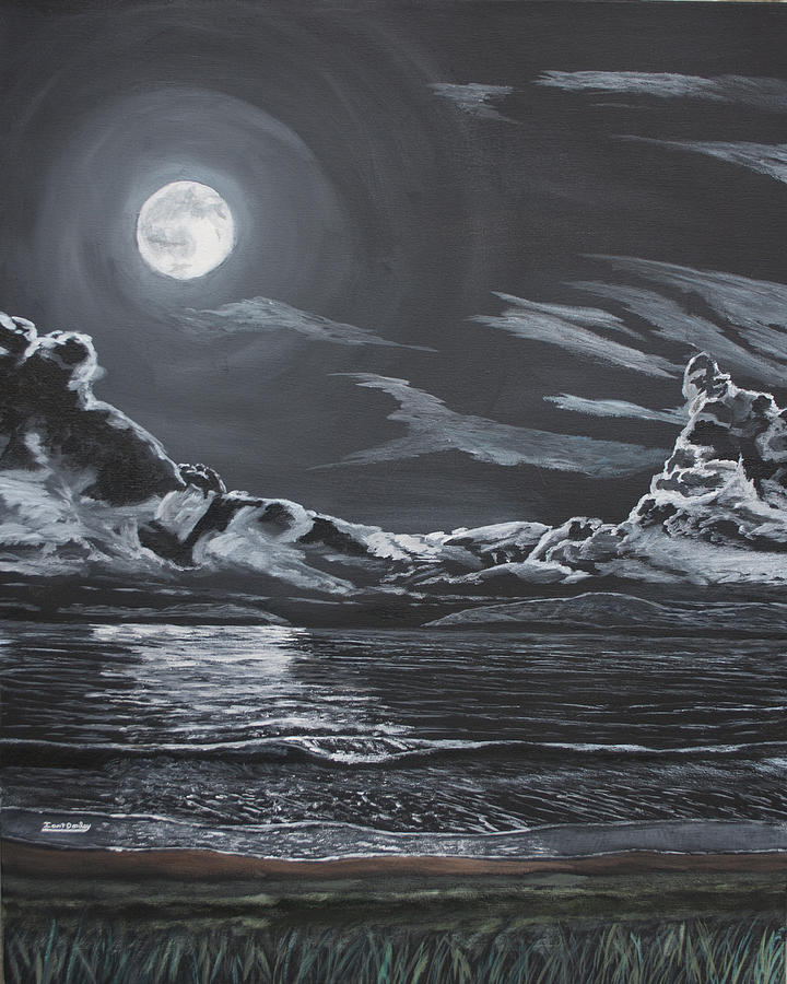 Beach Painting - Beauty of the Night by Ian Donley