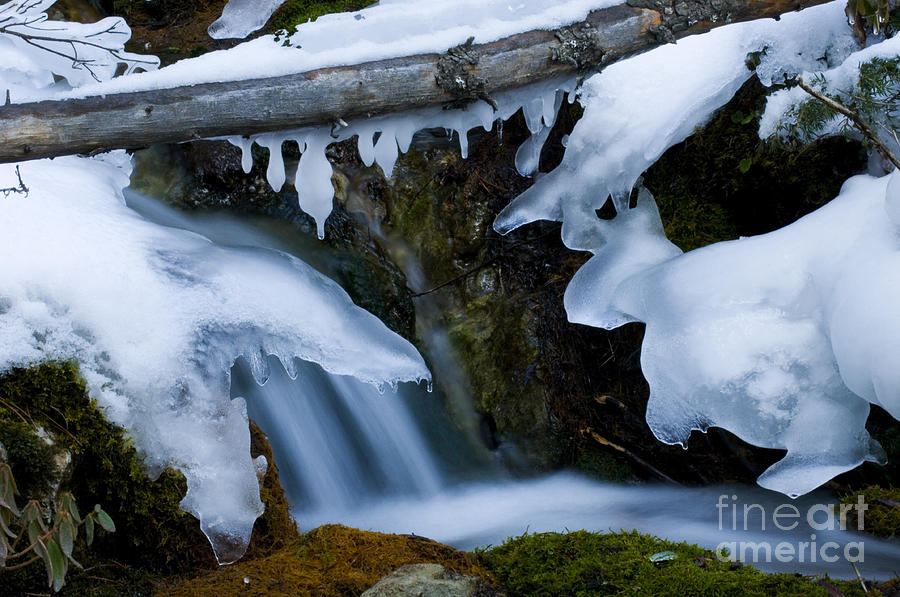 Beauty Of Winter Ice Canada 13 Photograph by Bob Christopher