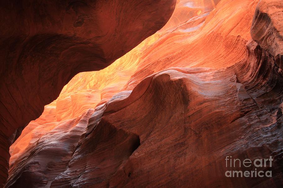 Vermilion Cliffs National Monument Photograph - Beauty Overhead by Adam Jewell