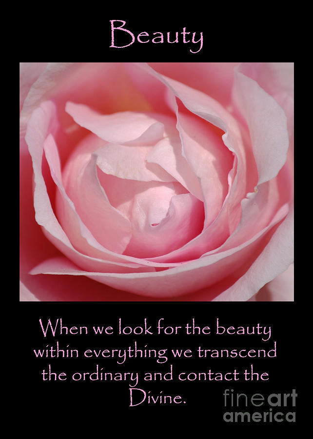 Beauty Pink Rose by Victoria Page Beauty Pink Rose by Victoria Page
