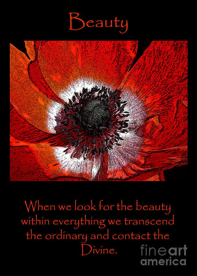 Beauty Red Anenome by Victoria Page Beauty Red Anenome by Victoria Page