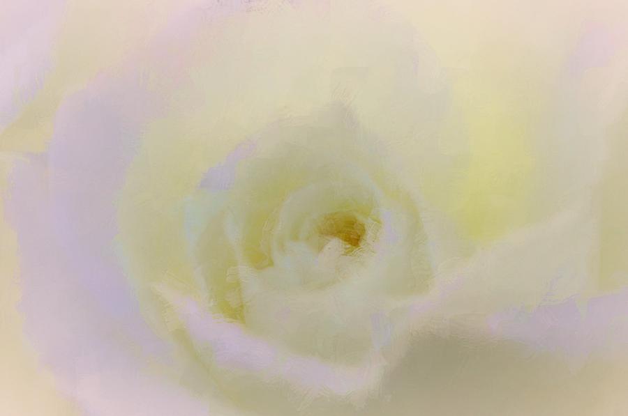 Beautiful Roses Photograph - Beauty Rose by The Art Of Marilyn Ridoutt-Greene