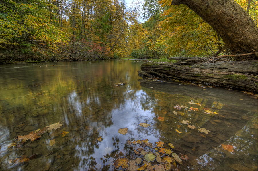 Beauty Scene in Eastern Ohio Photograph by David Dufresne