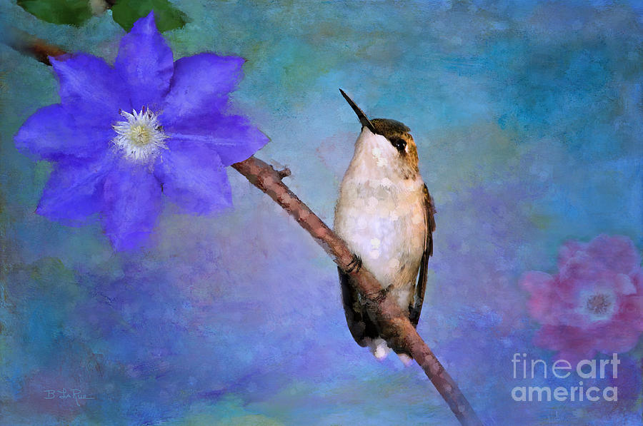 Hummingbird Photograph - Beauty Surrounds Me by Betty LaRue