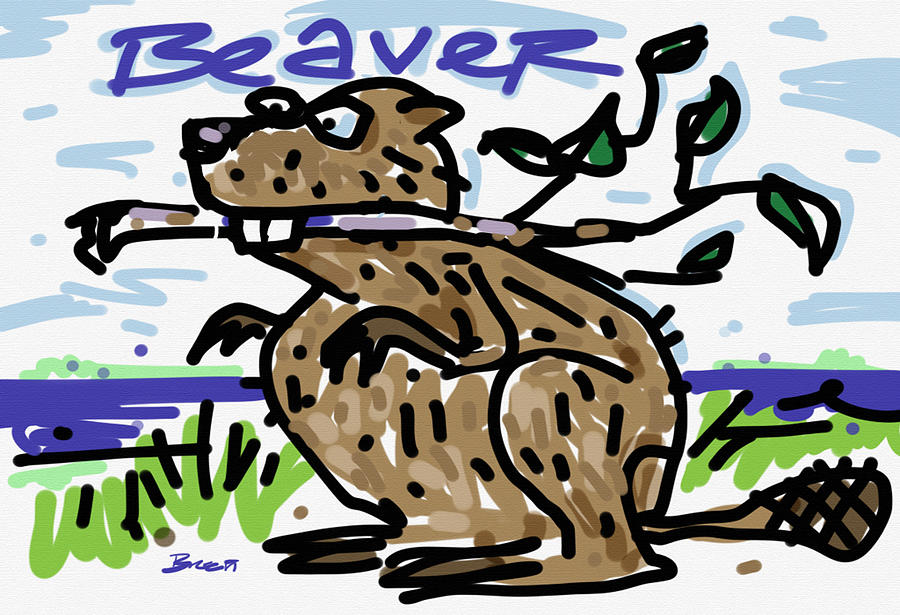 Beaver Drawing - Beaver by Brett LaGue