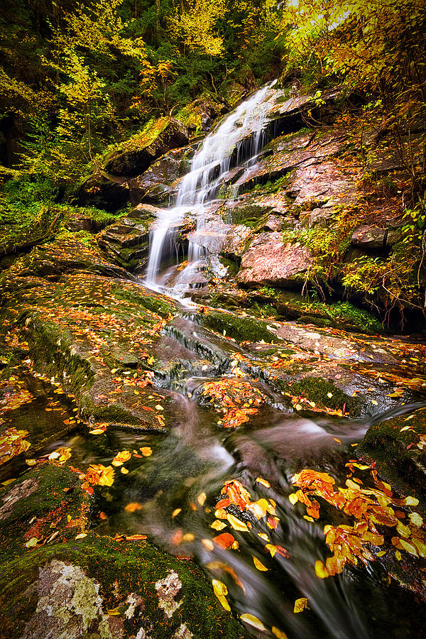 Fall Photograph - Beaver Cascade by Robert Clifford
