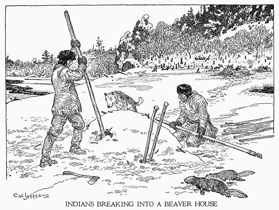 Beaver Hunting Drawing by Granger Beaver Hunting Drawing by Granger