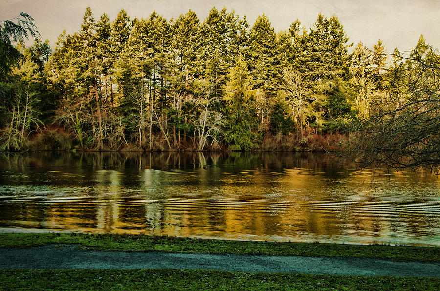 Beaver Lake Photograph by Marilyn Wilson