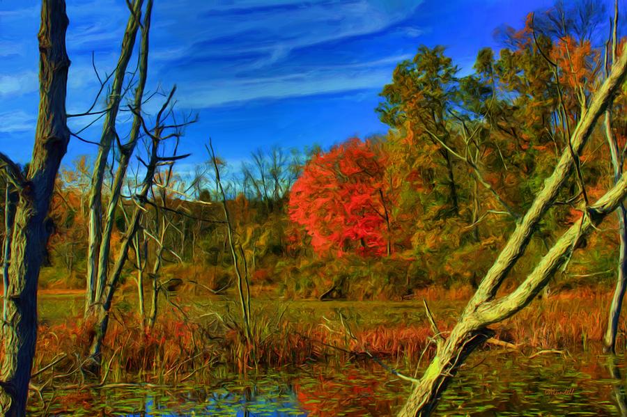 Beaver Marsh in October Digital Art by Dennis Lundell