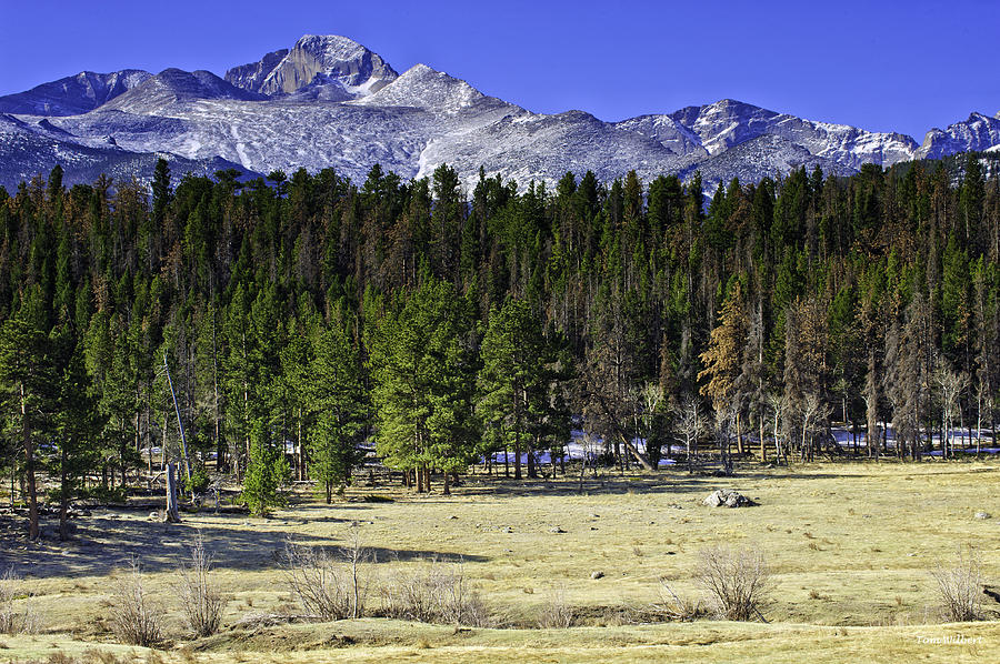 Rocky Mountain National Park Photograph - Beaver Meadows by Tom Wilbert
