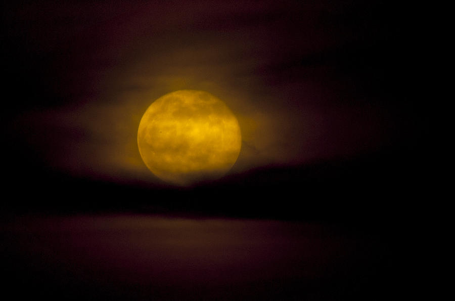 Moon Photograph - Beaver Moon  by Saija Lehtonen