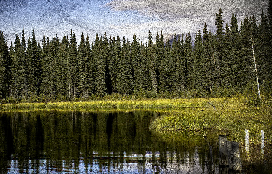 Beaver Pond fall 2014 Photograph by Fred Denner