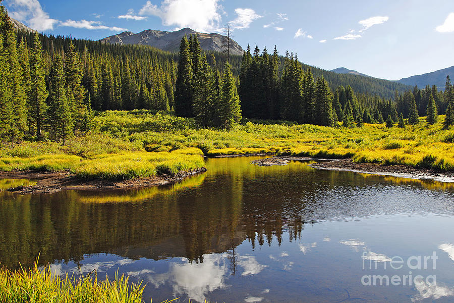 Beaver Pond in Colorado Summer Photograph by Lincoln Rogers