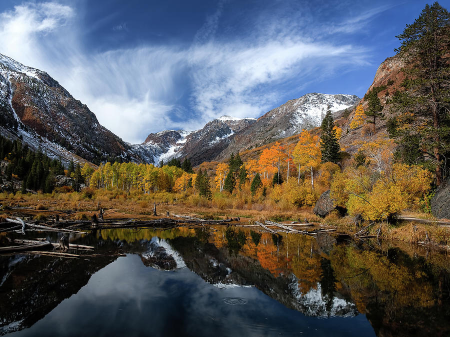 Beaver Pond In Lundy Canyon Photograph by Dagmar Collins
