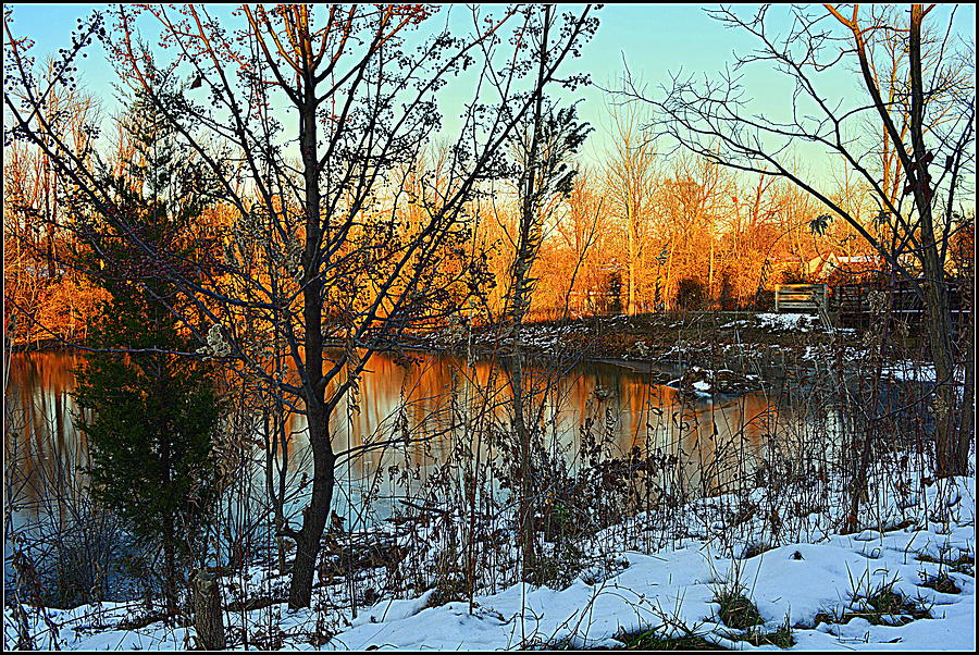 Beaver Pond in Mt. Healthy Ohio Photograph by Kathy Barney