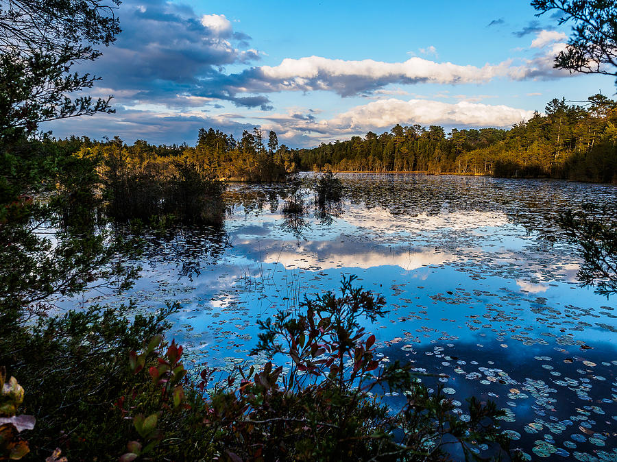 Fall Photograph - Beaver Pond - Pine Lands NJ by Louis Dallara