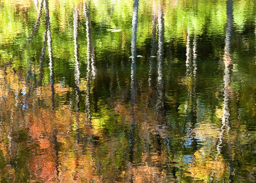 Fall Photograph - Beaver Pond Reflections 1 Gatineau Park Quebec by Rob Huntley