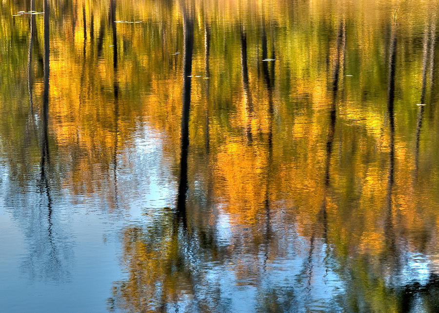 Beaver Pond Reflections 2 Photograph by Rob Huntley