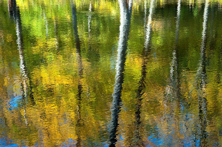 Beaver Pond Reflections - 3 Photograph by Rob Huntley