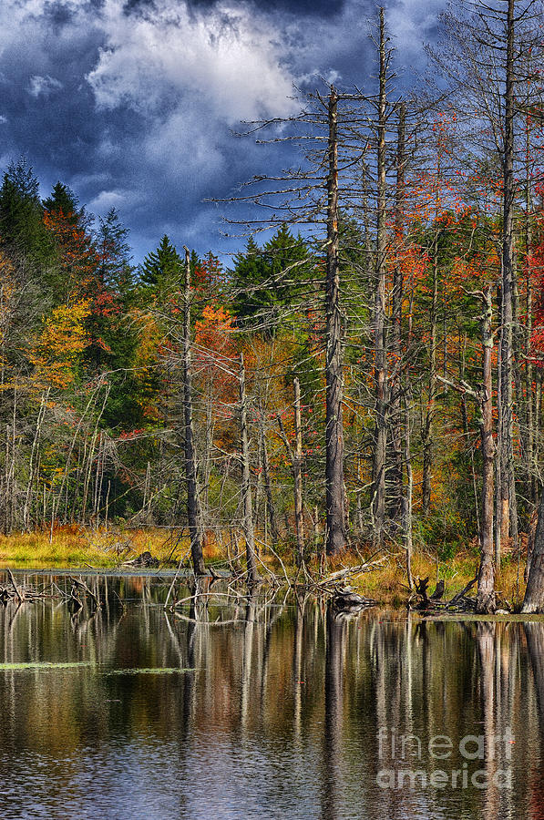 Fall Photograph - Beaver Pond Reflections along the Highland Scenic Highway by Thomas R Fletcher