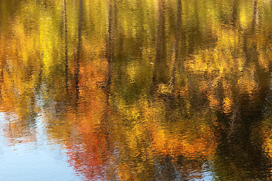Beaver Pond Reflections Photograph by Rob Huntley