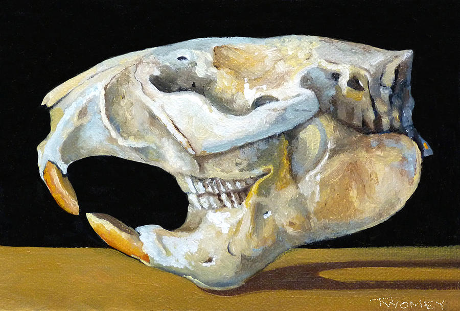 Beaver Skull 1 Painting by Catherine Twomey