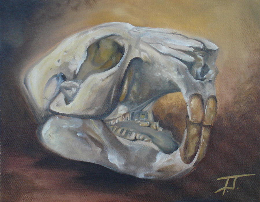 painted beaver skull