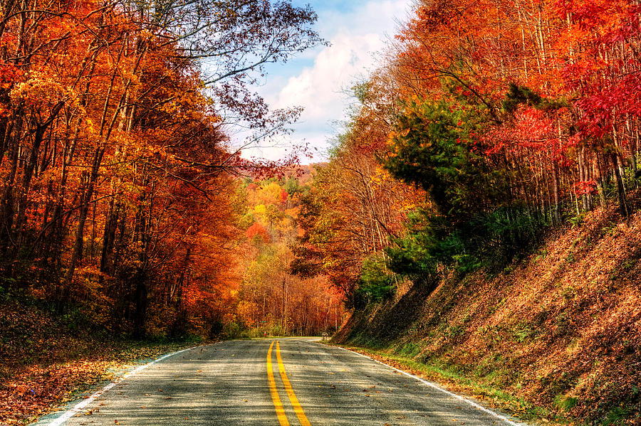 Beaverdam Road in Fall Photograph by Greg and Chrystal Mimbs