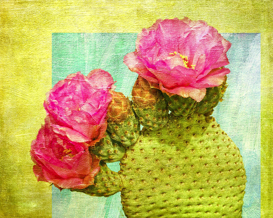 Beavertail Cactus Digital Art by Sandra Selle Rodriguez