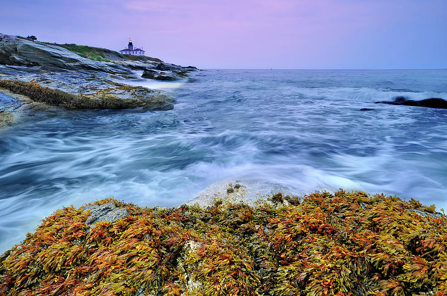 Beavertail Lighthouse, Jamestown, Rhode Photograph by Shobeir Ansari